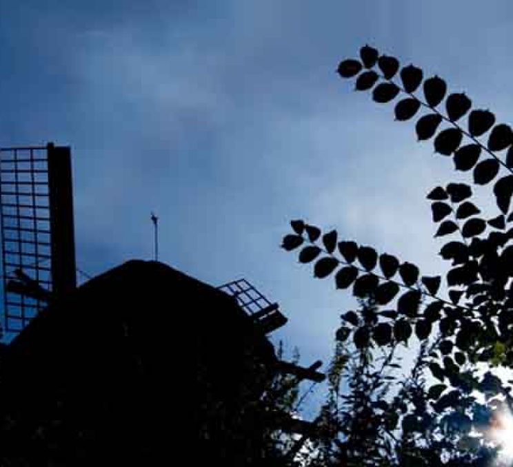 Optional Tour: Ethnographic Open-Air Museum in Riga