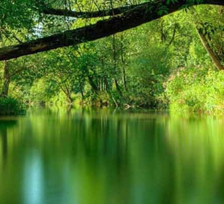 Optional Tour: Gauja National Park